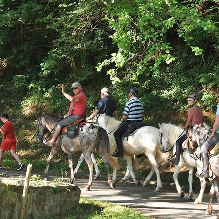 Les Chalets Du Moulin Du Chatain 4 Payzac  エクステリア 写真