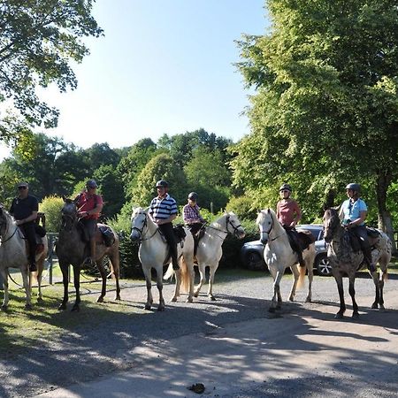 Les Chalets Du Moulin Du Chatain 4 Payzac  エクステリア 写真