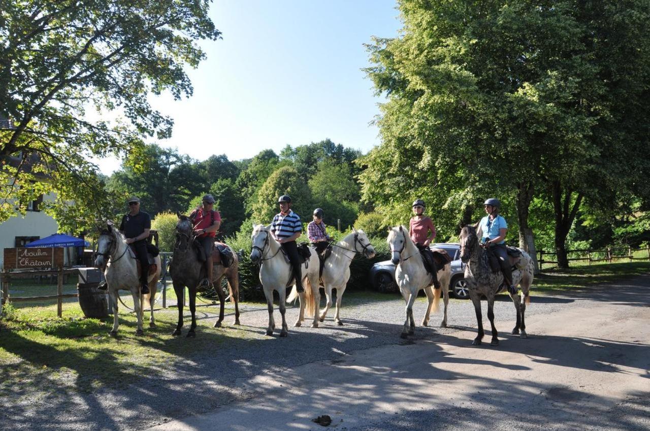 Les Chalets Du Moulin Du Chatain 4 Payzac  エクステリア 写真