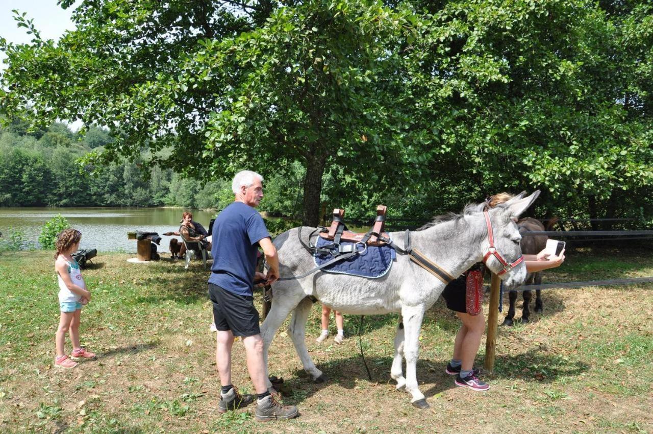 Les Chalets Du Moulin Du Chatain 4 Payzac  エクステリア 写真